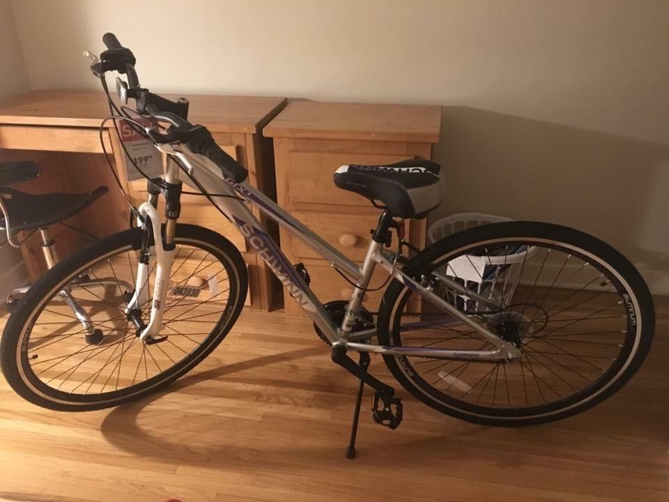 Schwinn GTX-3 woman Silver or Gray and Purple