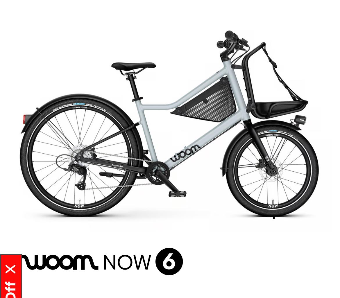 2023 Woom Silver, gray or bare metal