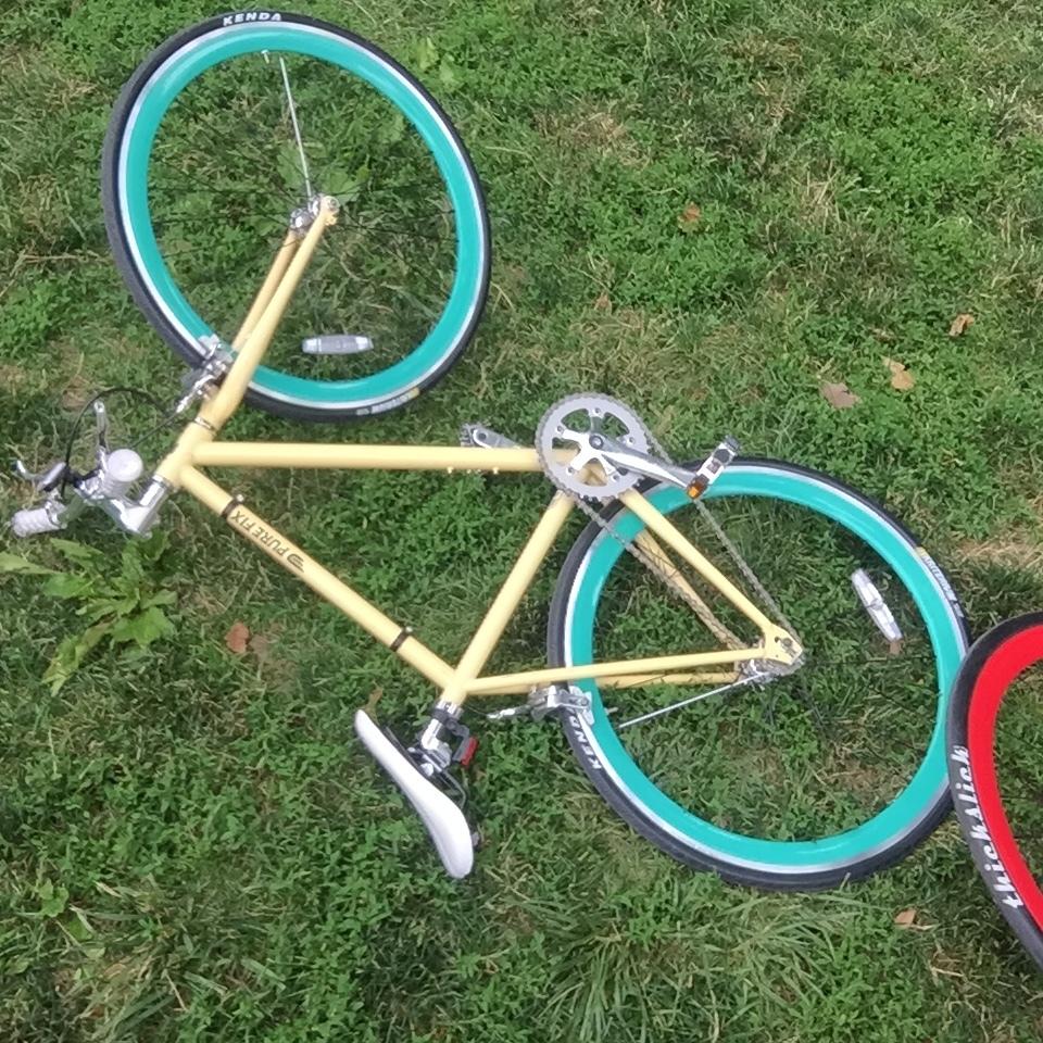 Pure Fix X-ray Yellow or Gold