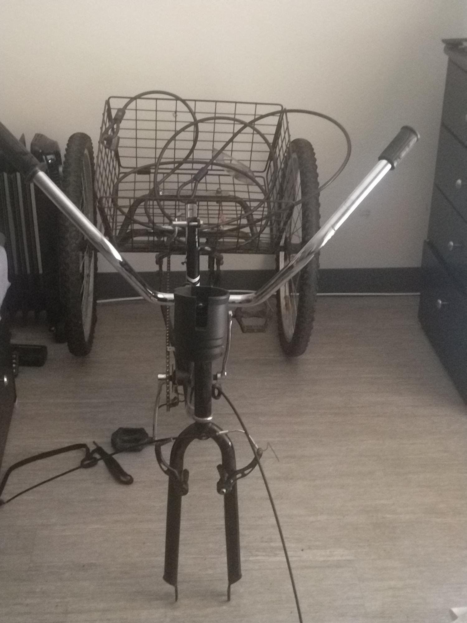 Viribus tricycle Black and White