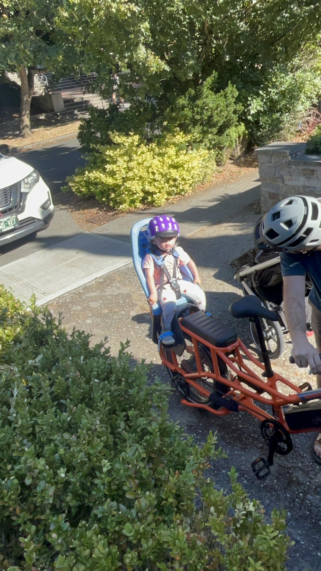 Rad Power Bikes Radwagon 4 Orange