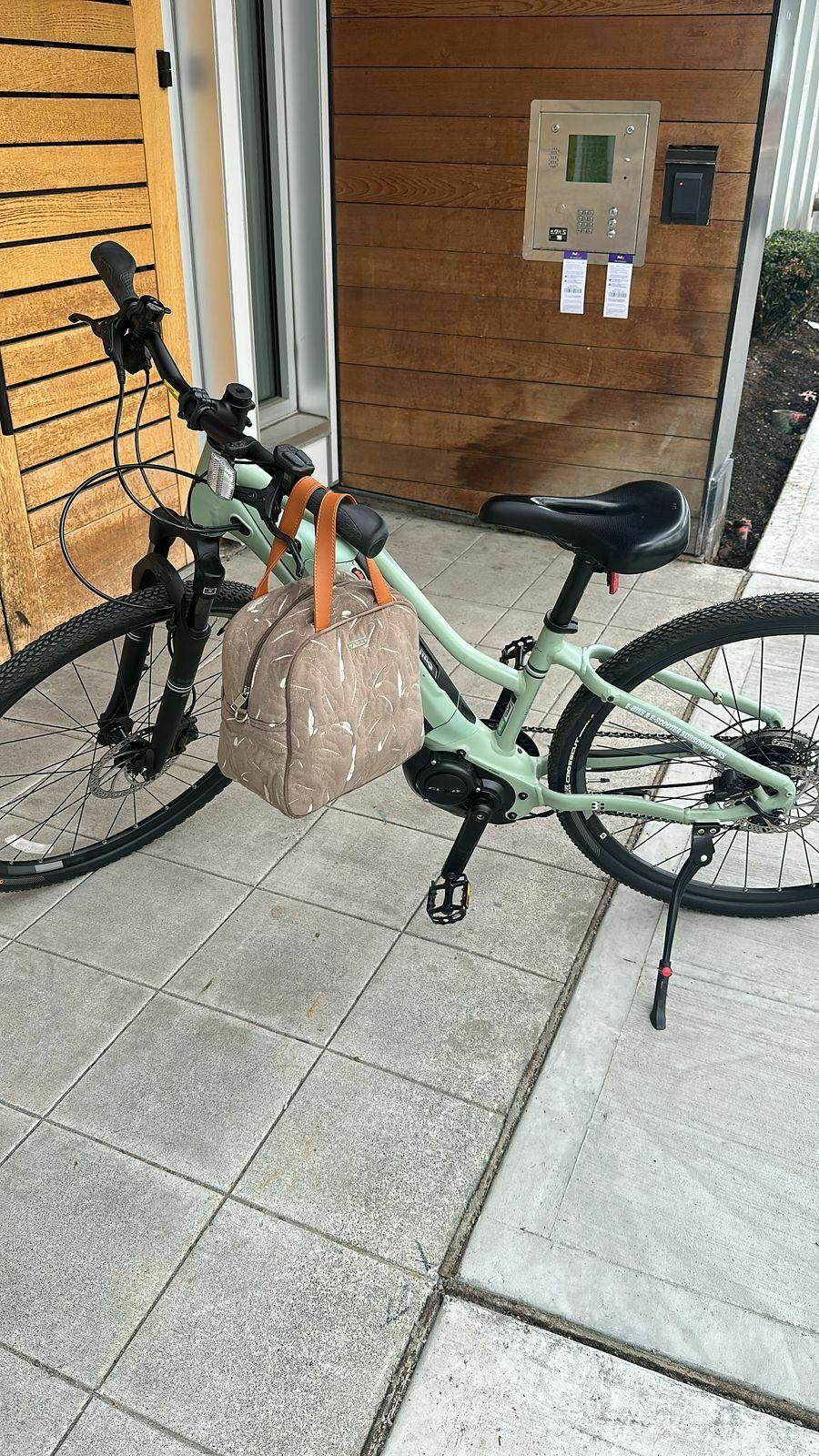 2025 Liv Rove E+ Green