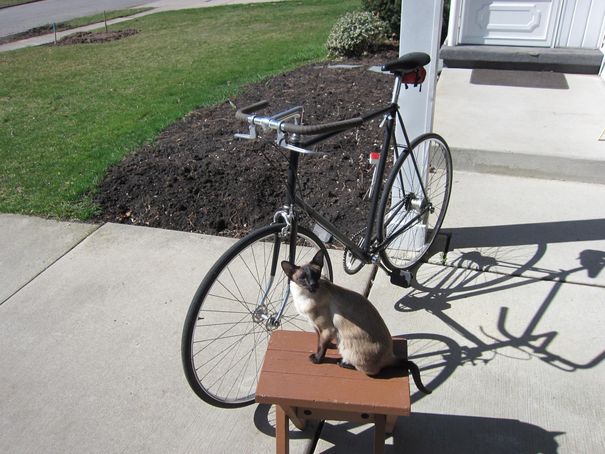 1970 Raleigh Grand Prix Black