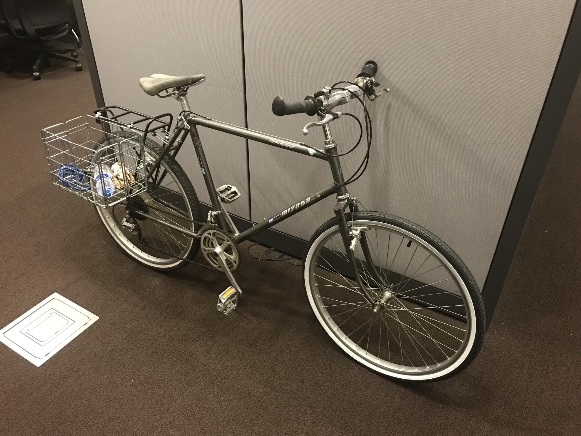 1983 Miyata Terra Runner Silver, gray or bare metal