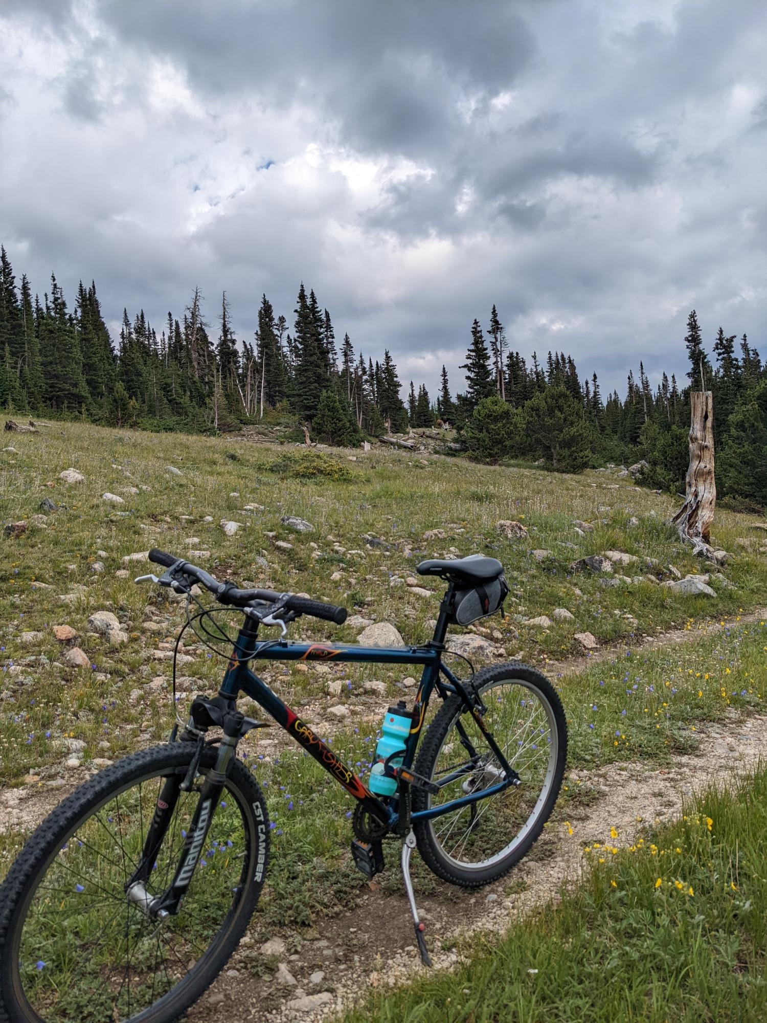 Gary Fisher Marlin Blue