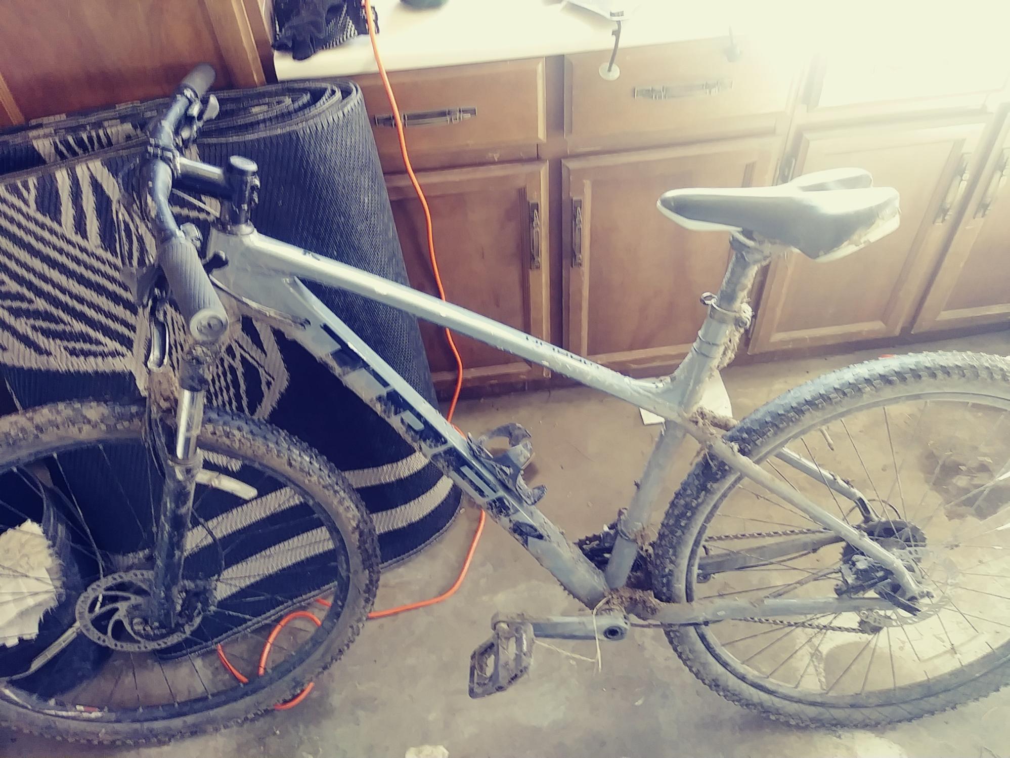 2019 Trek tall bike Silver, gray or bare metal