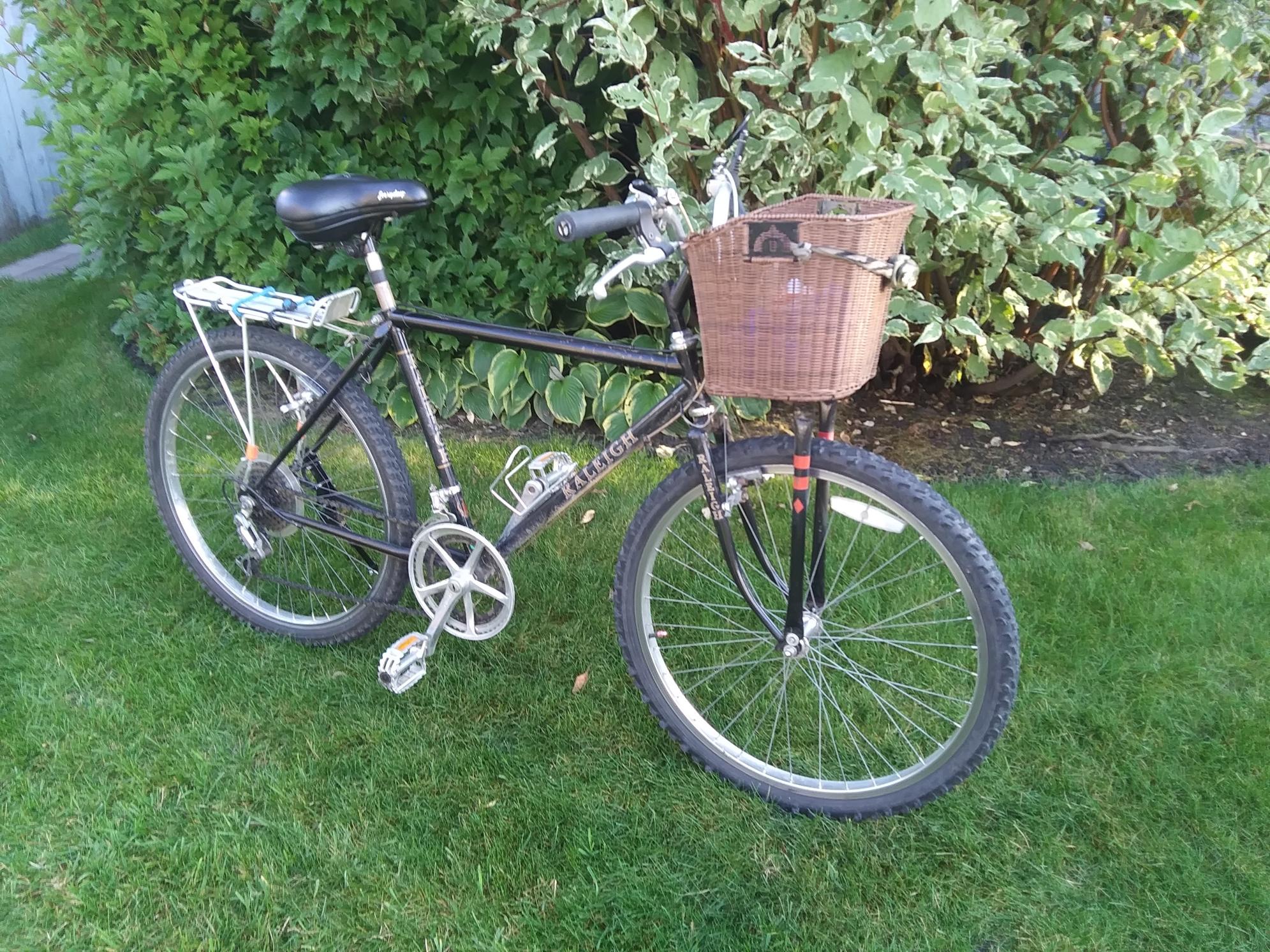 Raleigh Big Horn Black