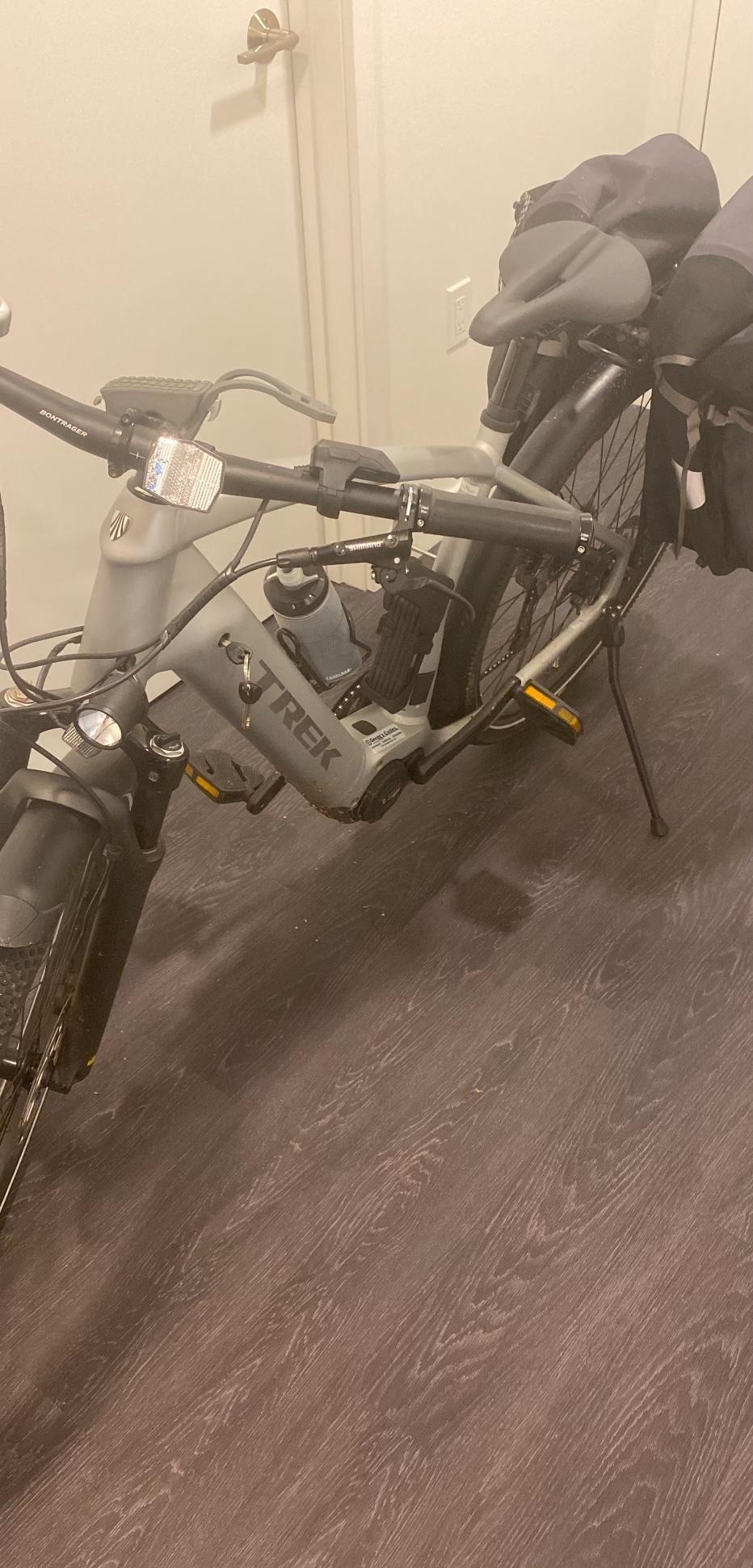 2020 Trek Alant+ 7s Silver, gray or bare metal