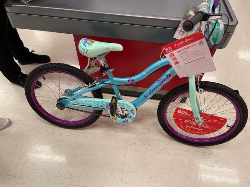 Schwinn Teal