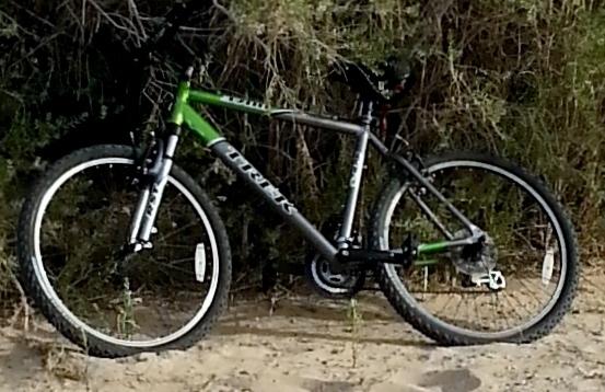 2005 Trek 3700  Silver or Gray and Green