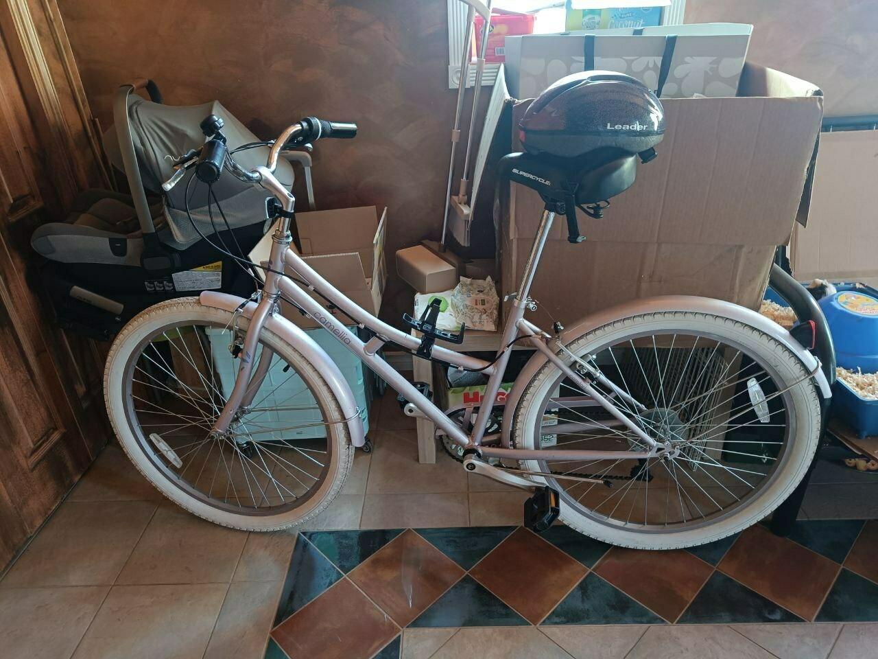 Camellia Pink and White