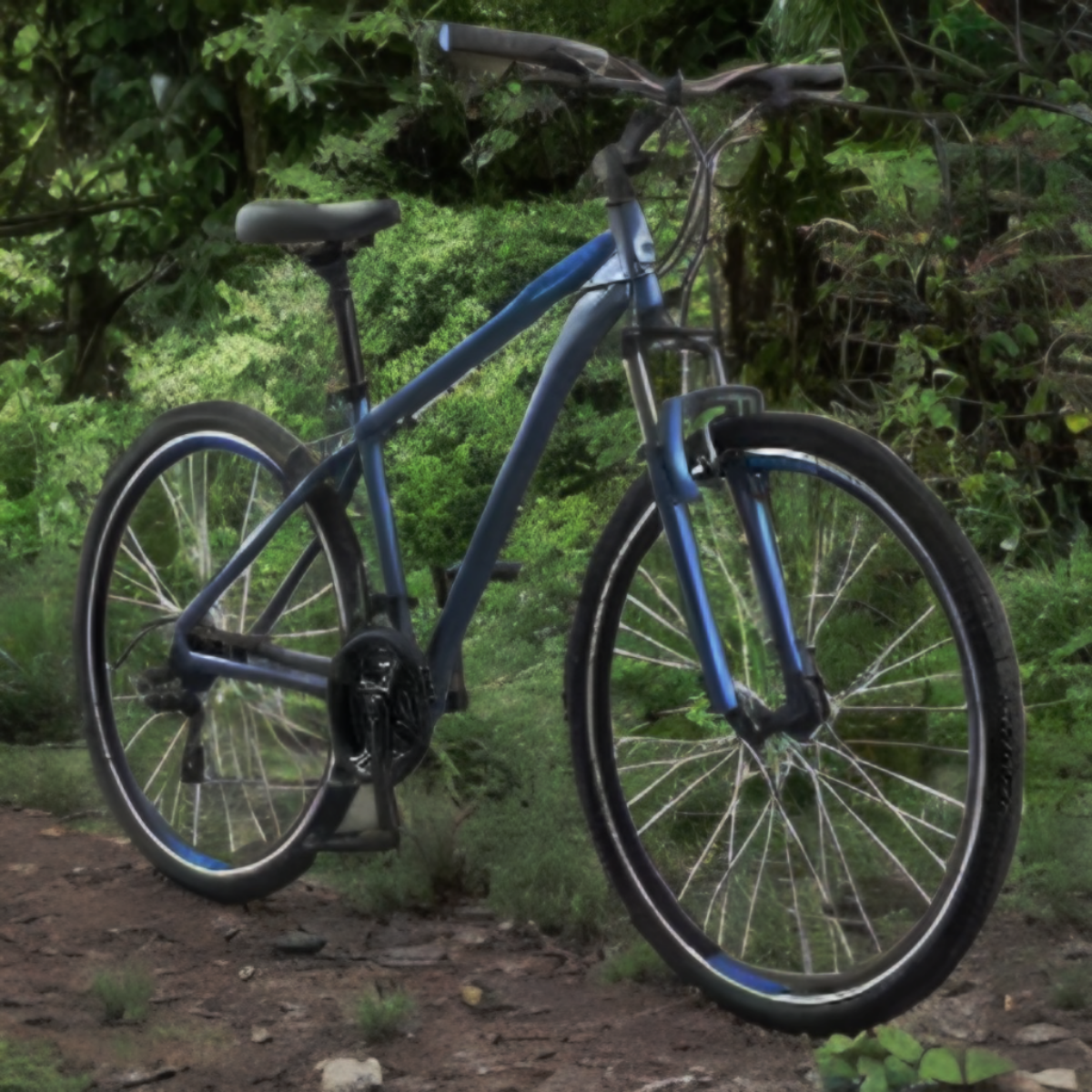 2024 Schwinn Trail Way Blue, Silver, gray or bare metal, and Blue