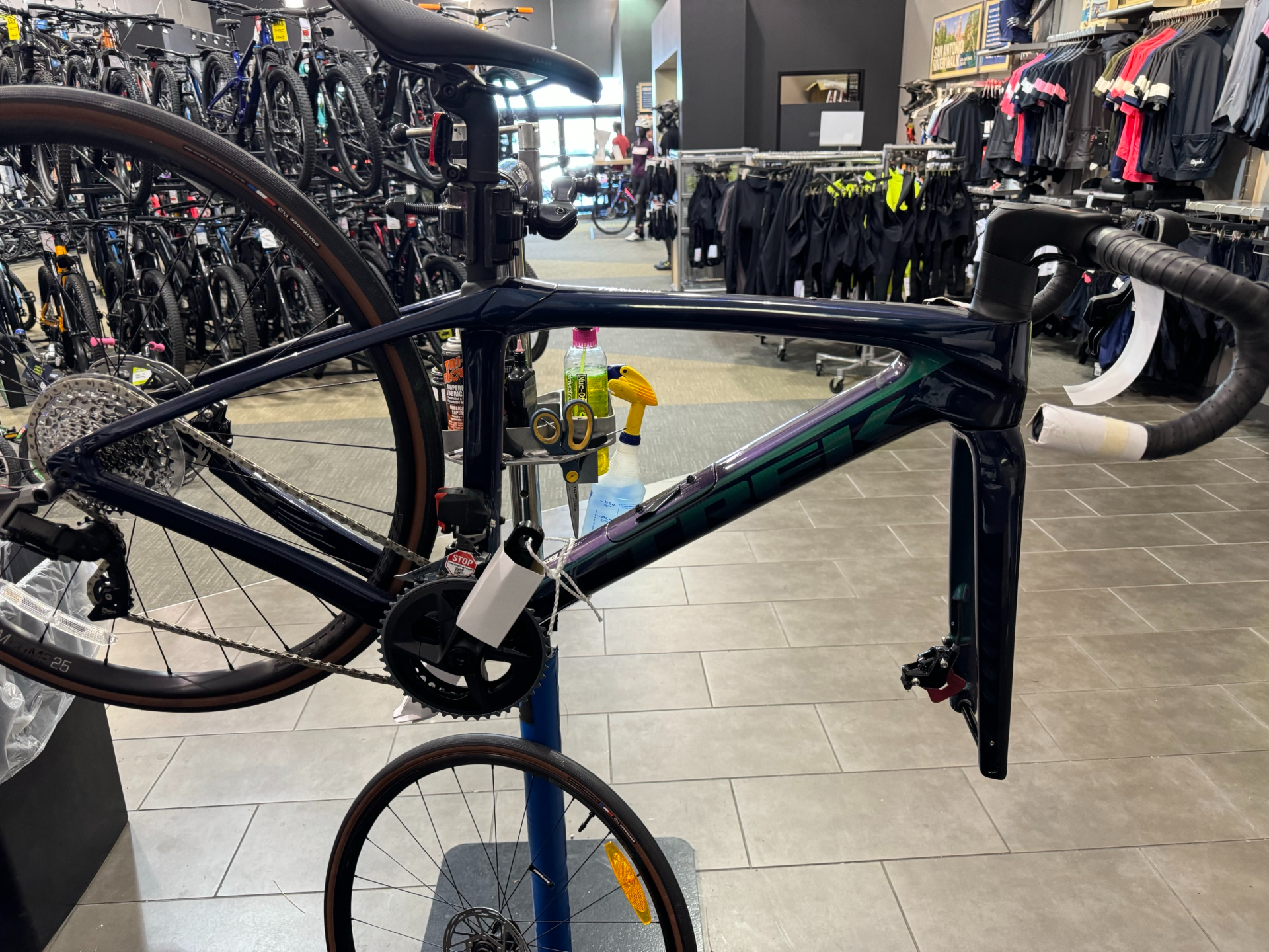 2024 Trek Domane SL 6 Green