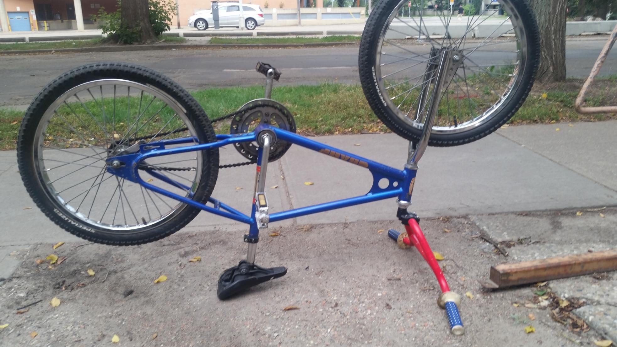 Pacesetter Champ Blue