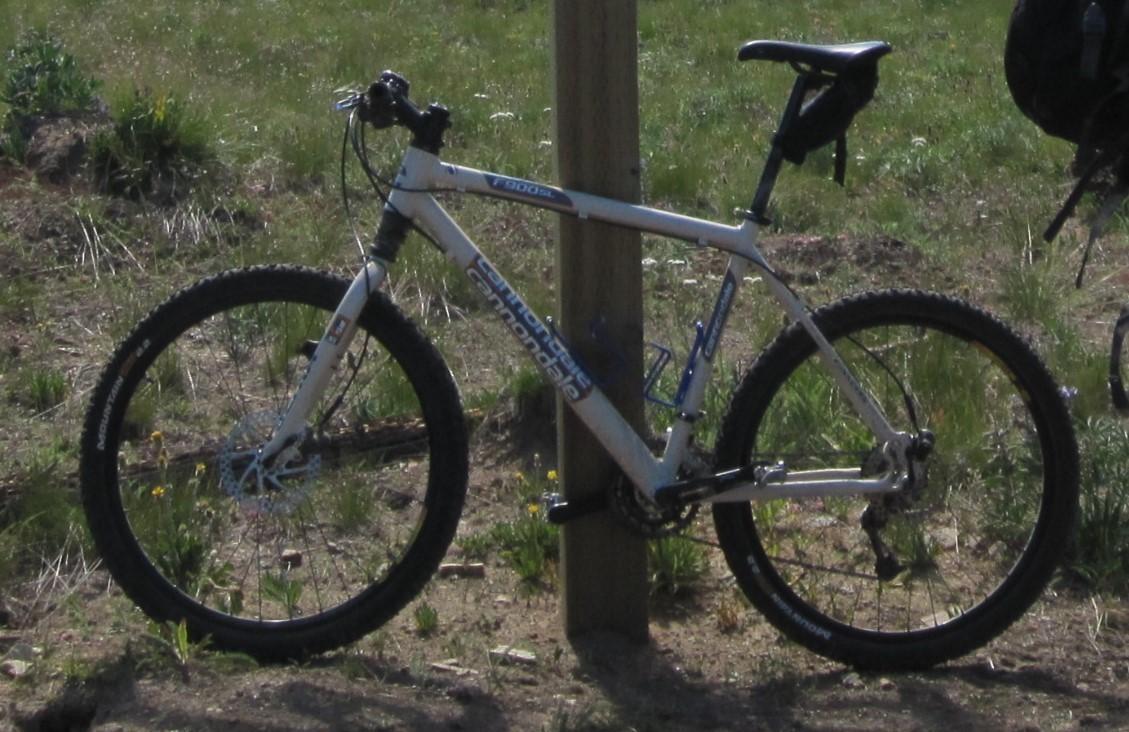 2002 Cannondale F900SL Brown