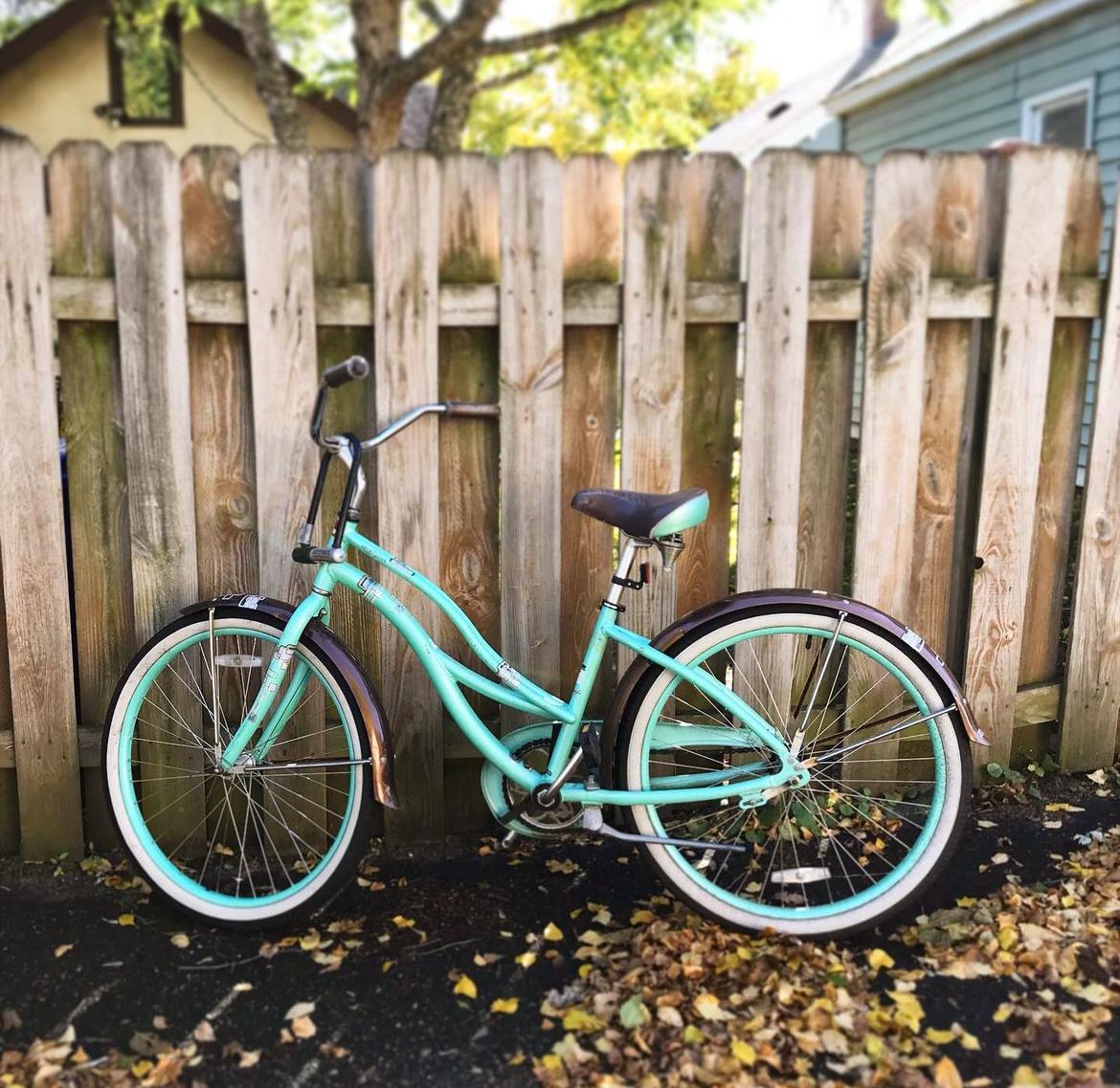 2009 Raleigh Step-thru Teal