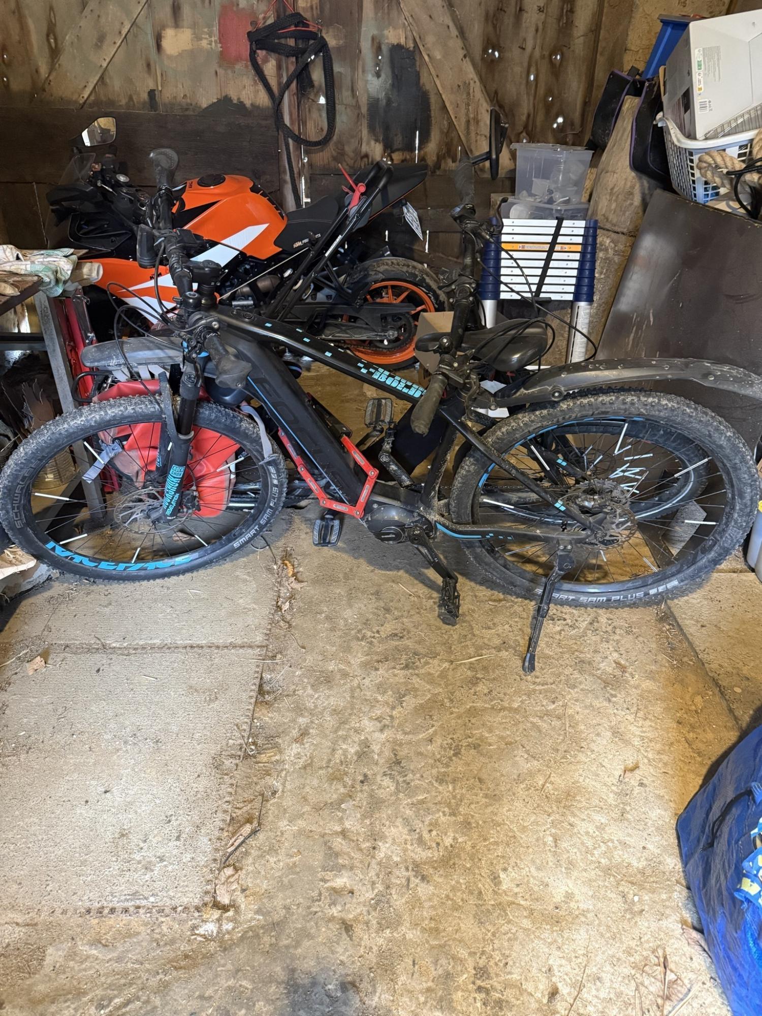 Focus Bold 29 Black and Blue