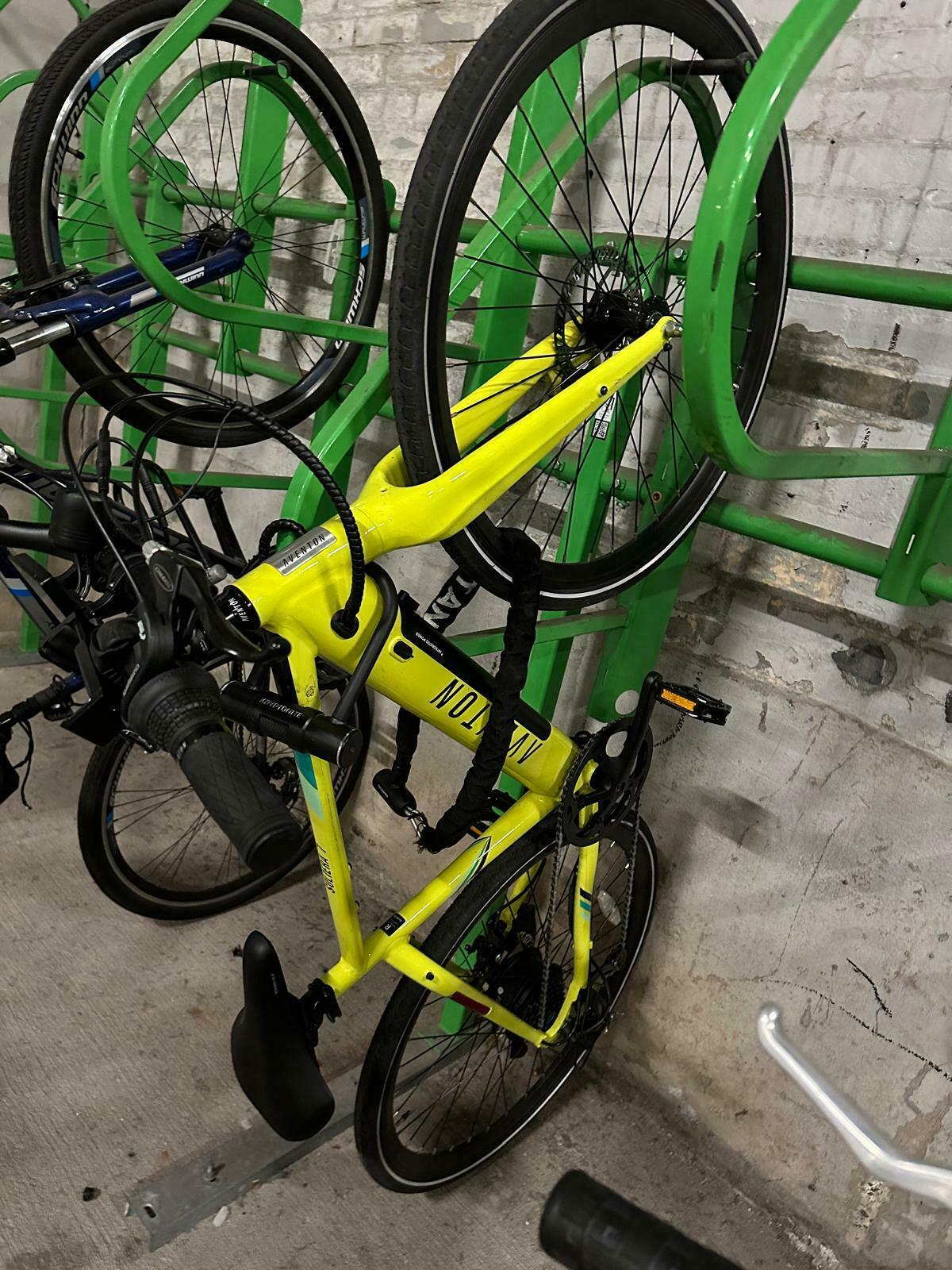 2022 Aventón Soltera Yellow or Gold