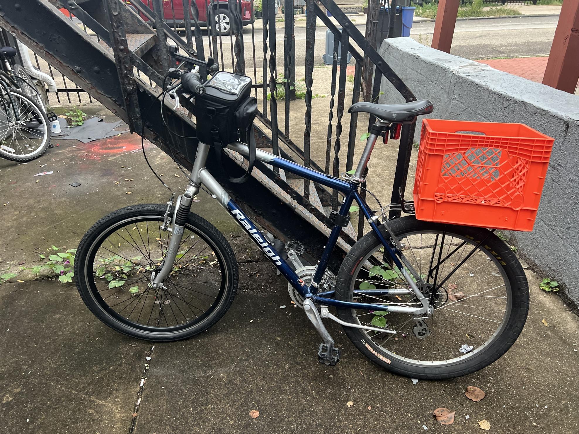 1999 Raleigh SC40 Silver, gray or bare metal