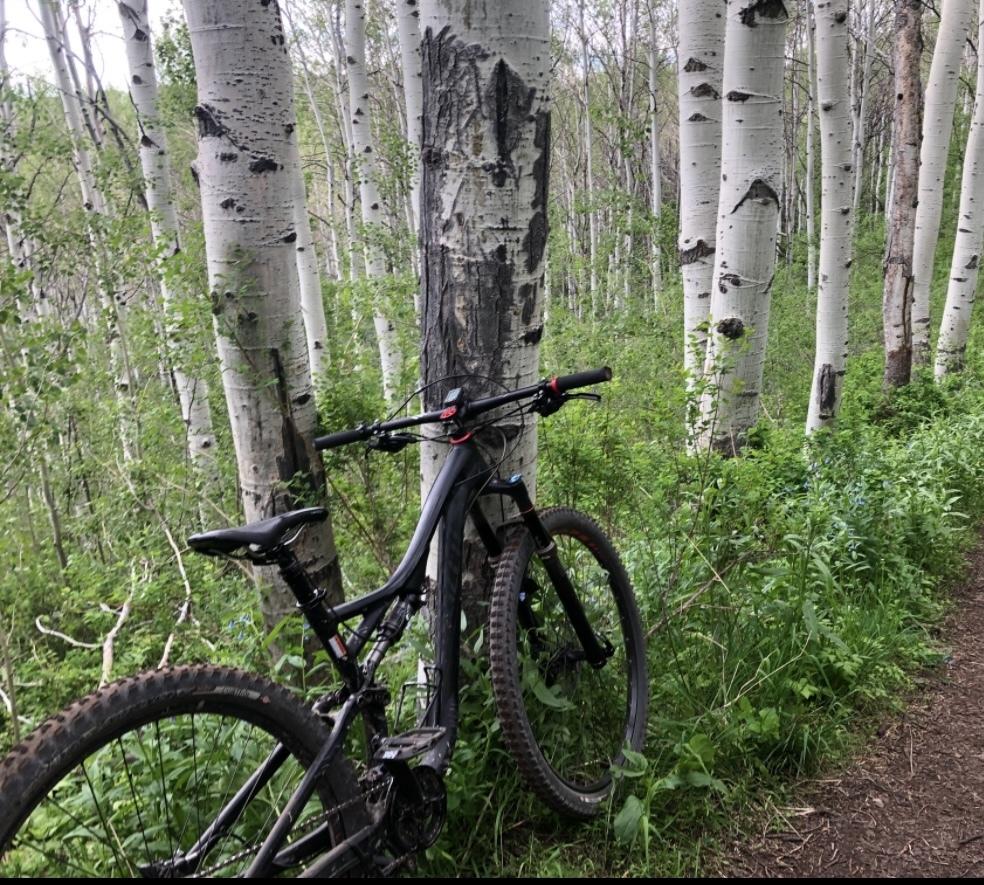 Specialized Black