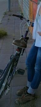2009 Trek 7200  Purple