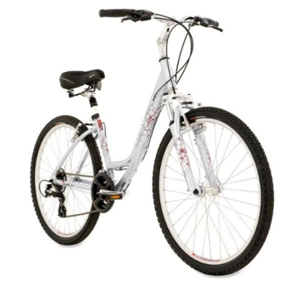 2011 Diamondback Serene Silver, gray or bare metal