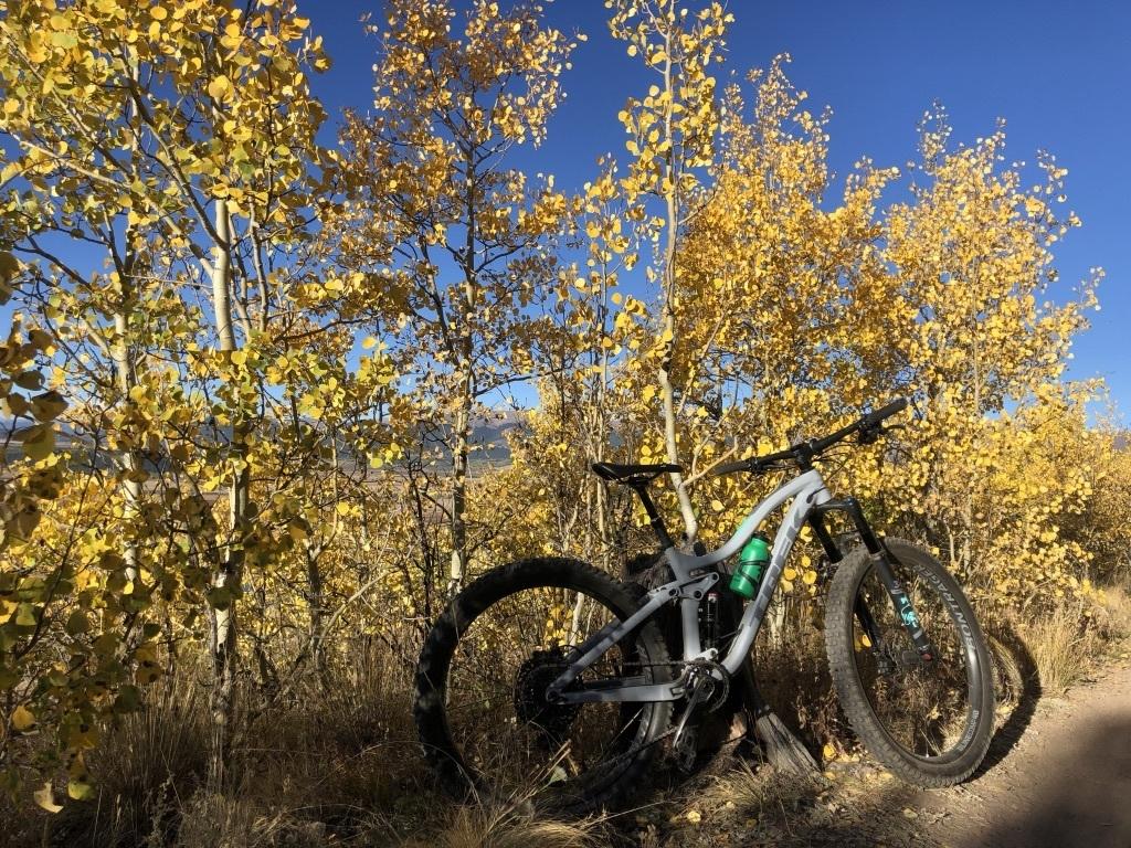 2019 Trek Fuel EX 8 Women's Silver, gray or bare metal