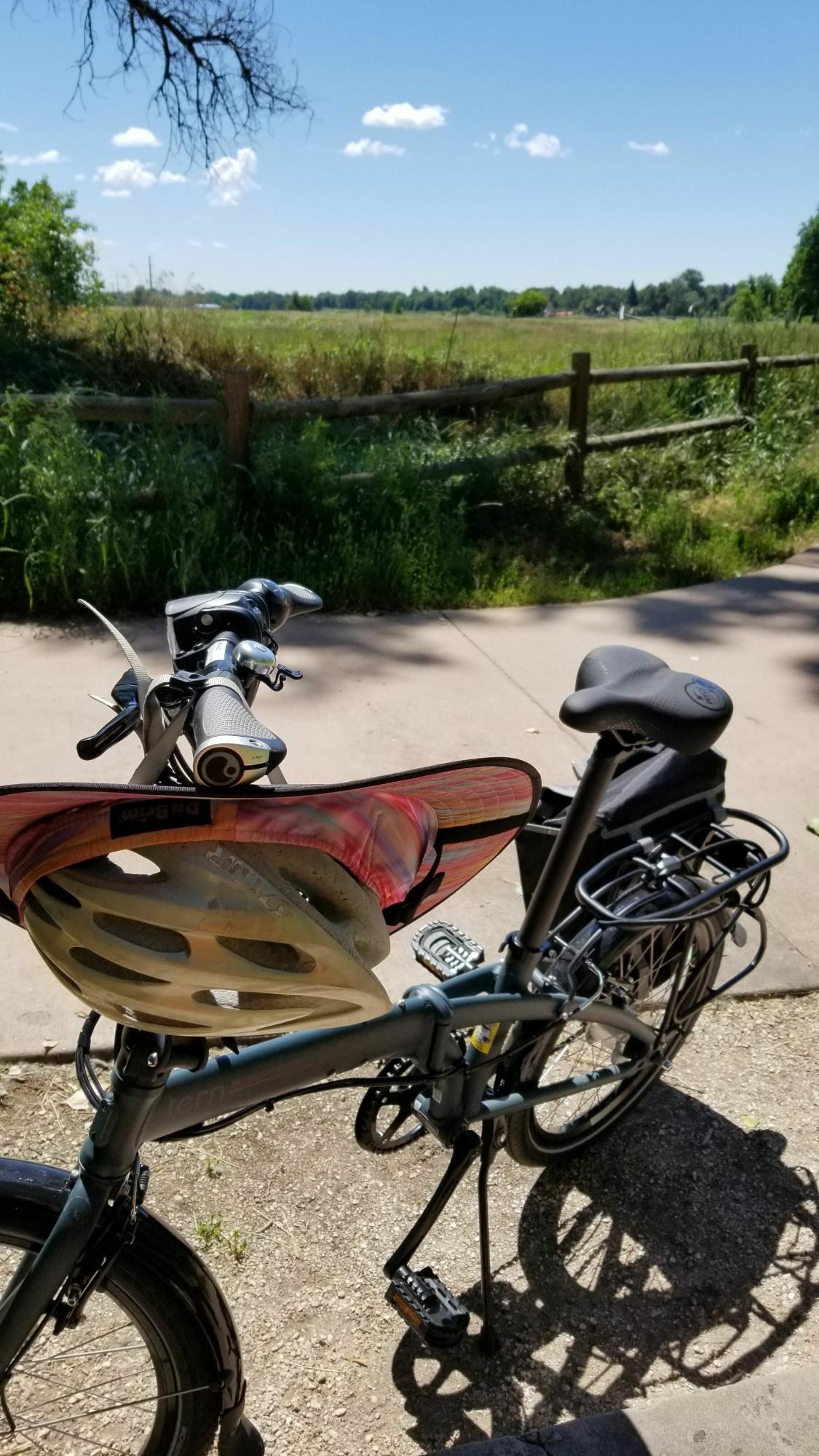 Tern LINK D7i Silver, gray or bare metal