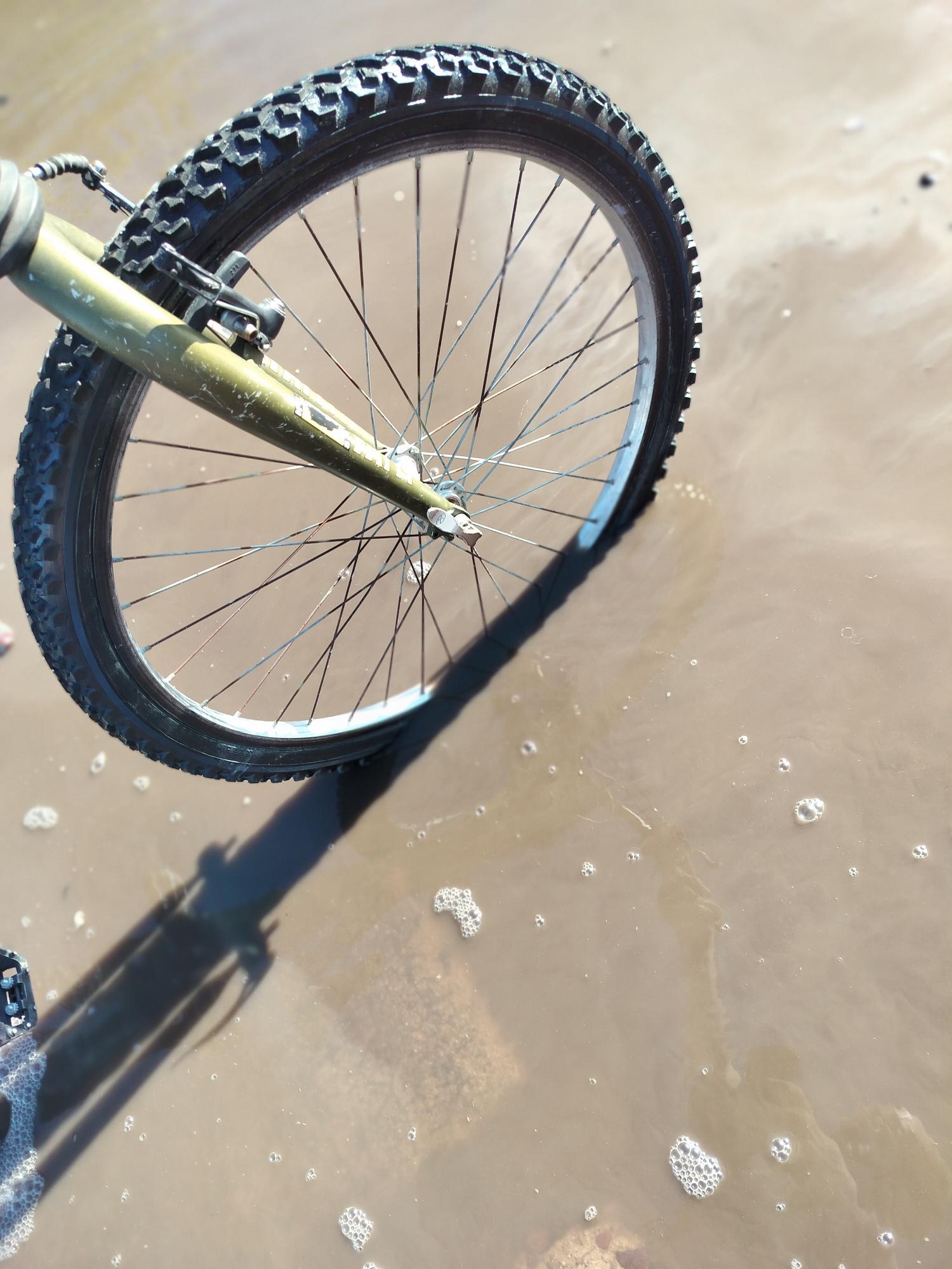 2024 Cannondale Fatty Green