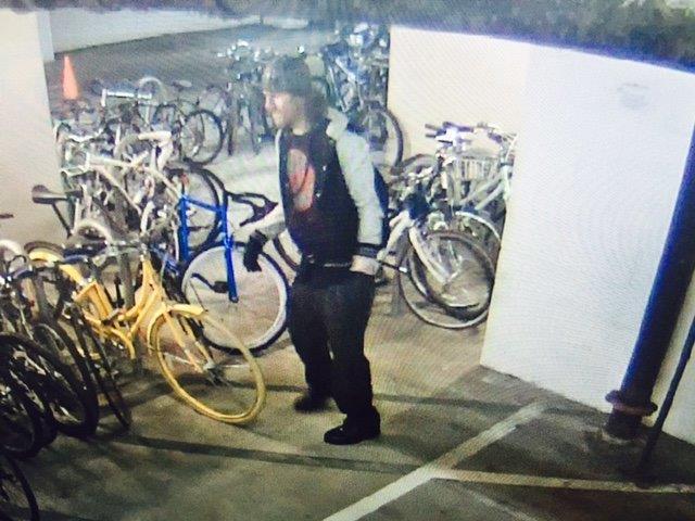 2013 Globe Daily 2 step Black