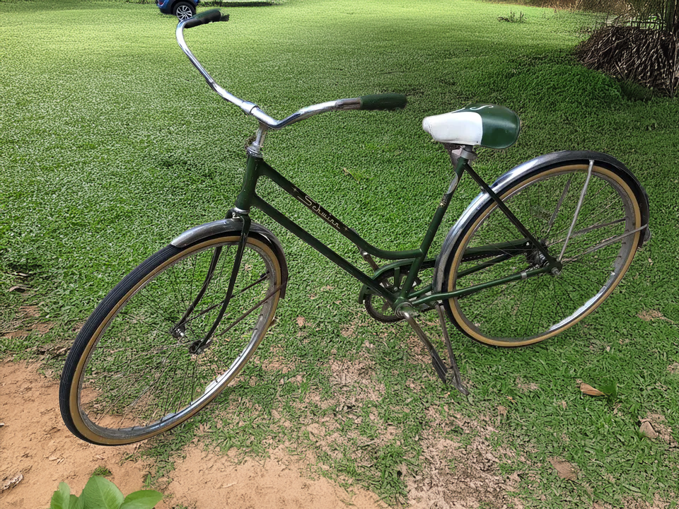 Schwinn Cruiser Ss Women S Green