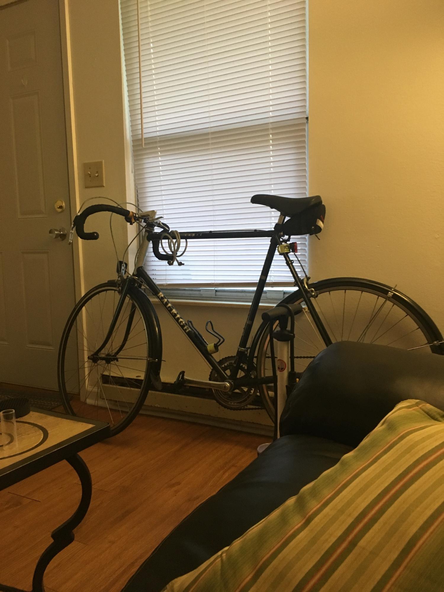 1984 Raleigh Capris Black and Silver, gray or bare metal