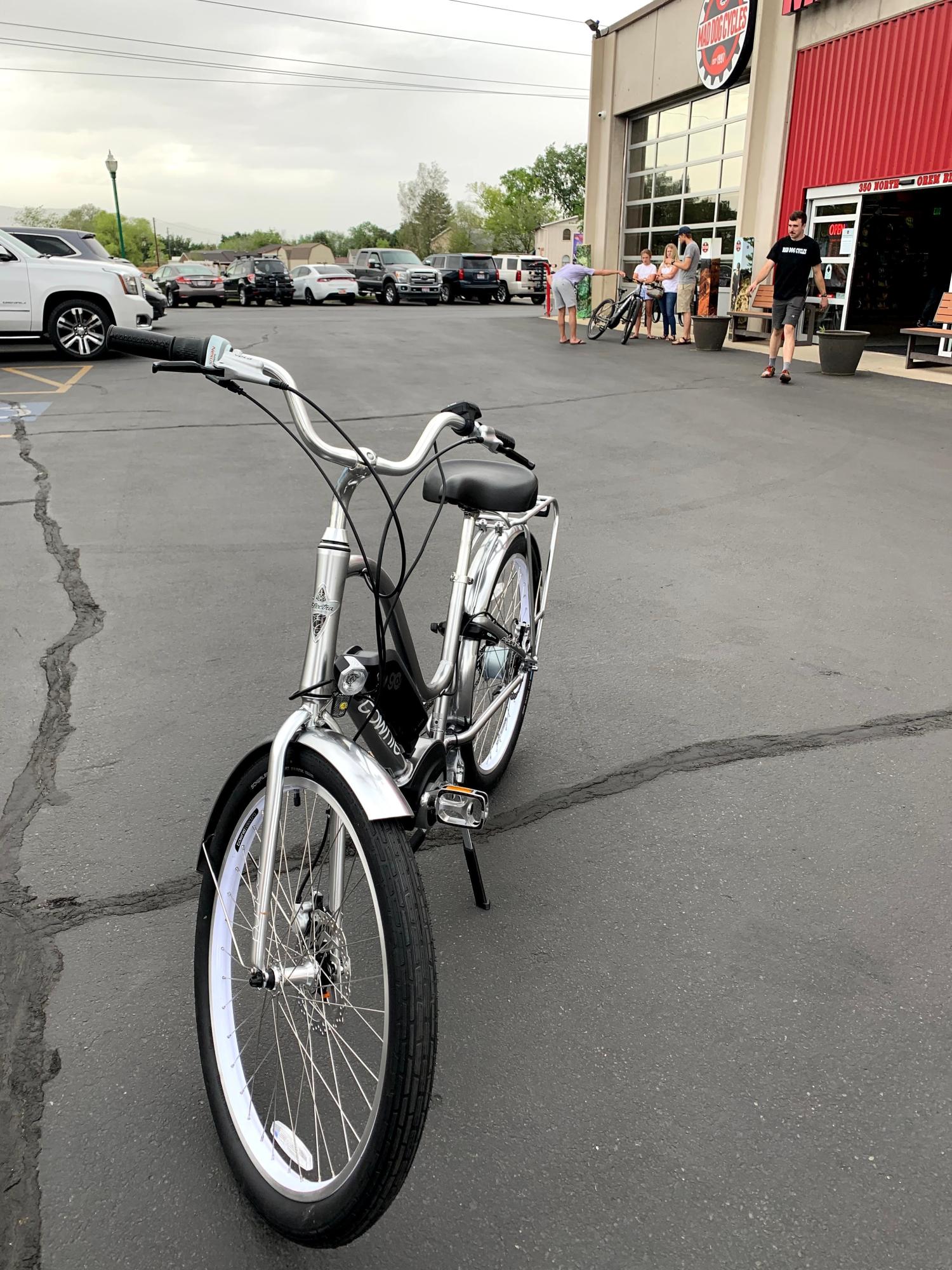 2020 Electra Electra townie go 8i Silver, gray or bare metal