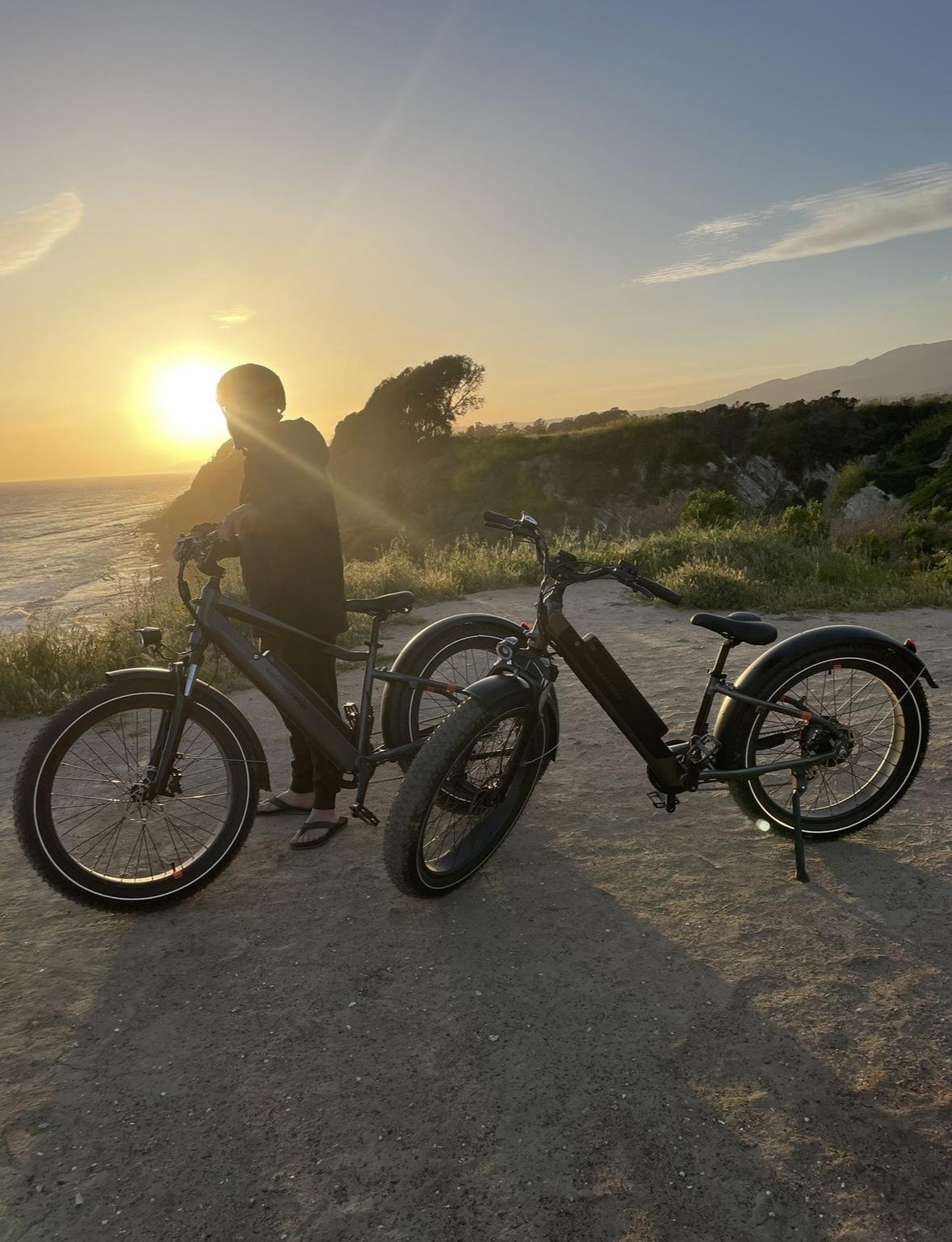 2023 Rad Power Bikes Radrover 6 Plus Step Through Silver, gray or bare metal