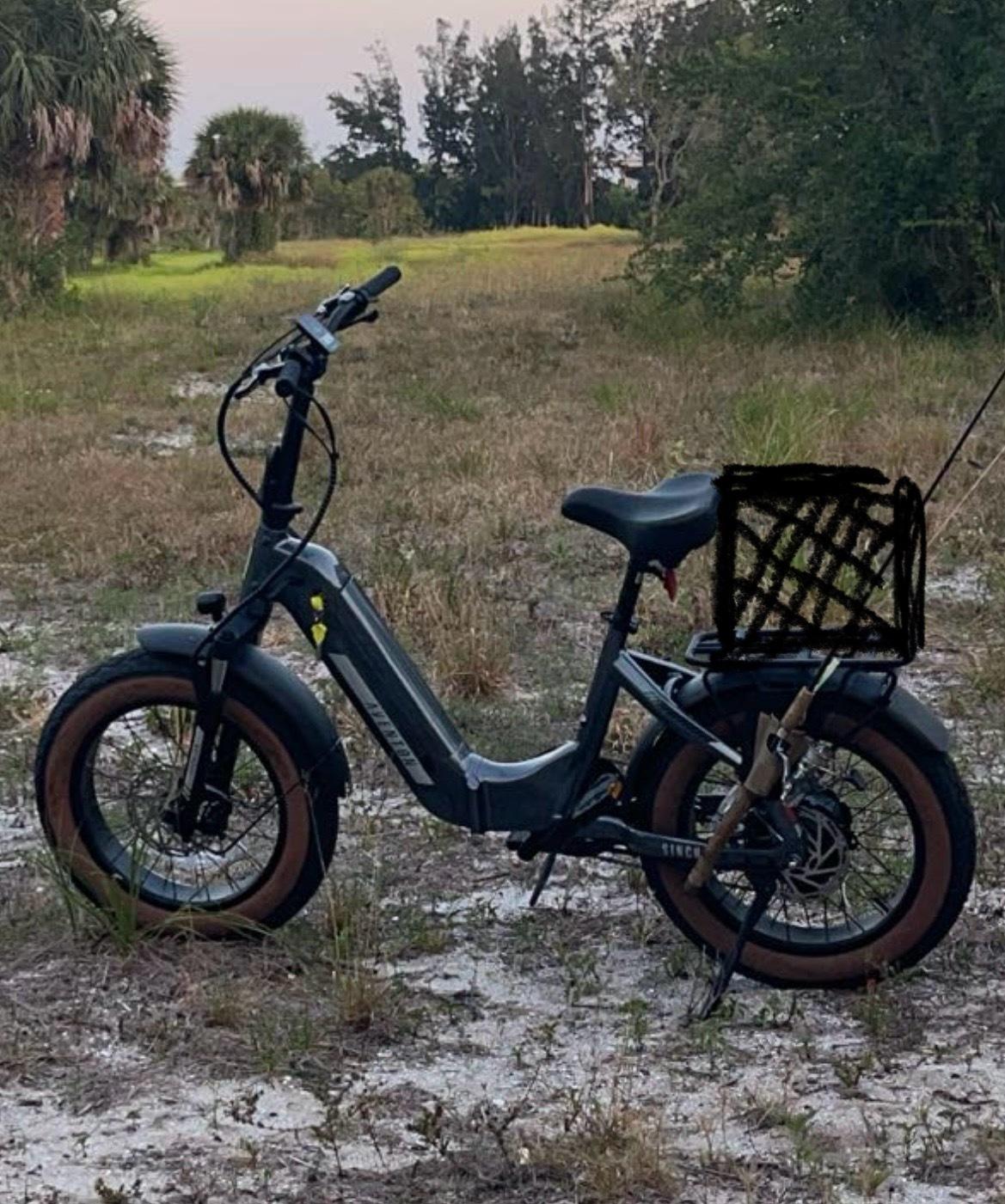 2024 Aventón Sinch 2 Silver, gray or bare metal and Brown