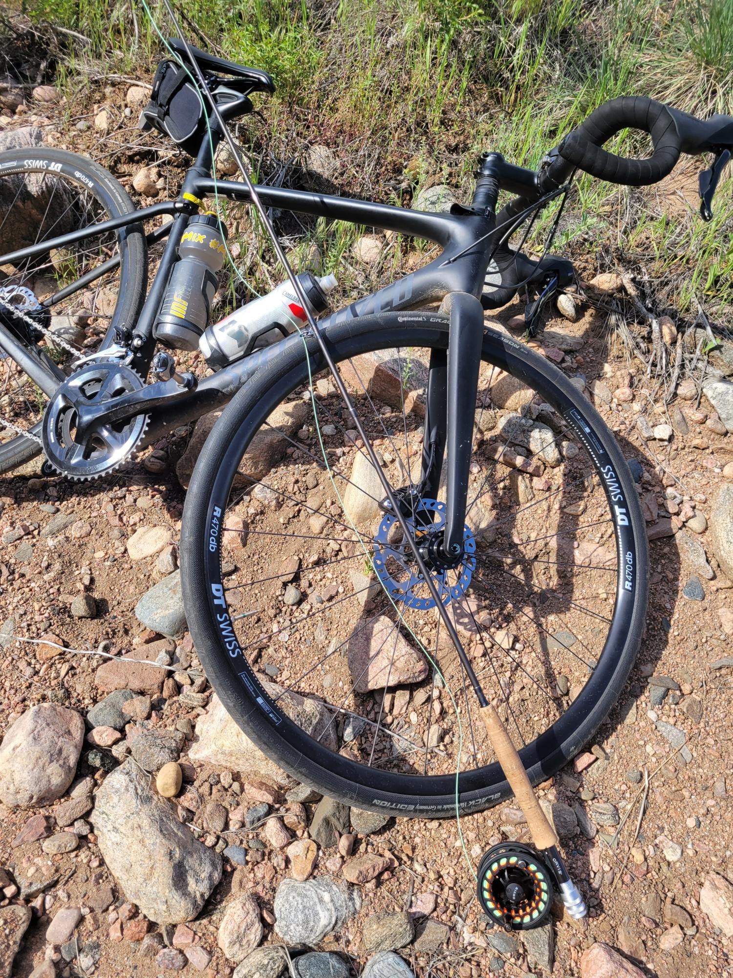 Specialized Roubaix Elite Black