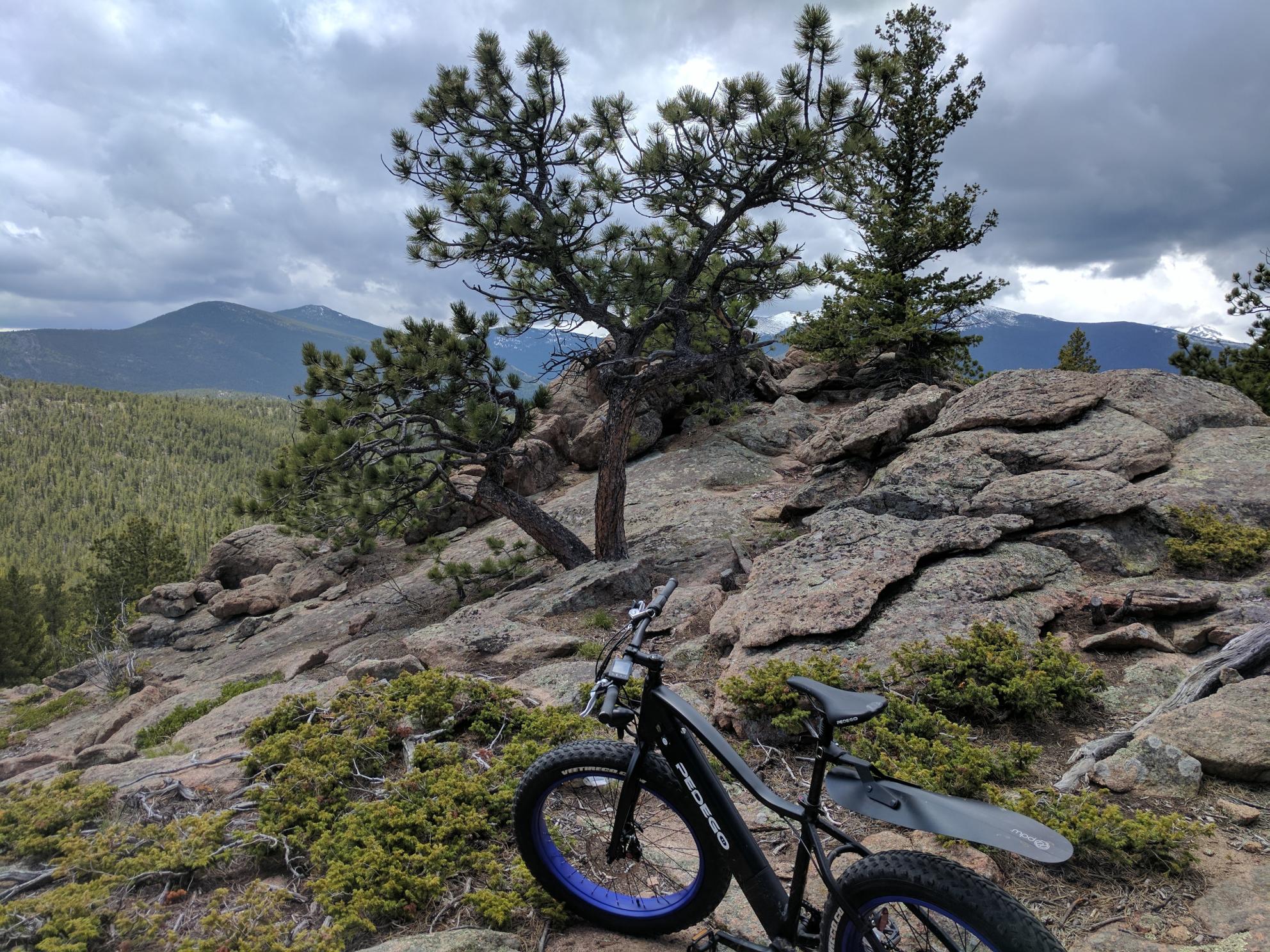 2017 Pedego Trail Tracker Black and Blue