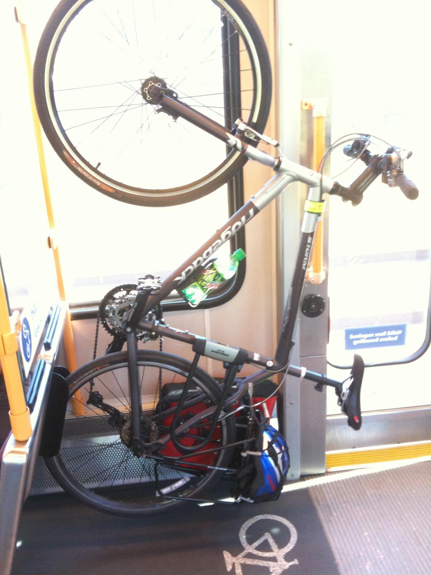 2006 Ridgeback Storm Brown and Silver or Gray