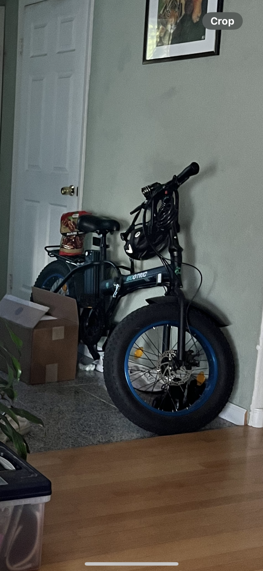 2018 Ecotric Fat Tire Black