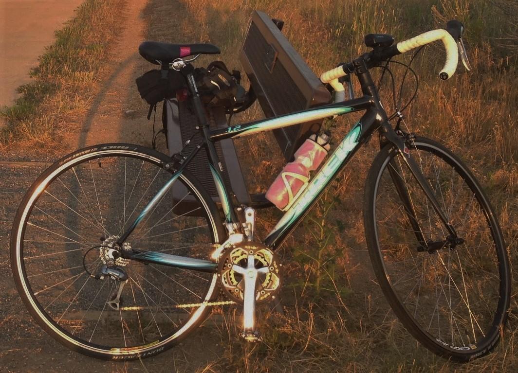 2010 Trek 1.2 WSD Black