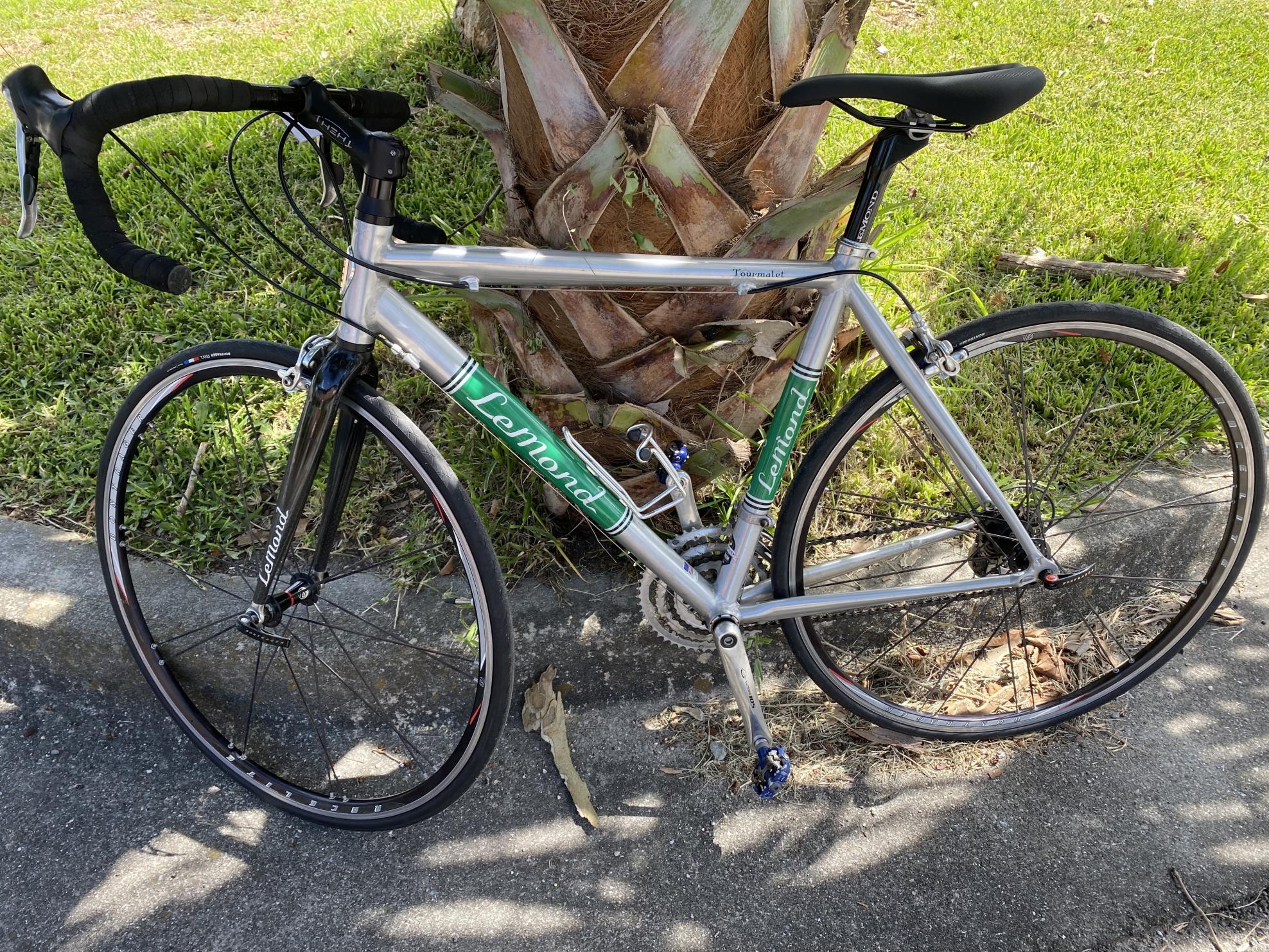 LeMond Tourmalet Silver, gray or bare metal and Green