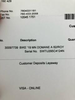 2019 Trek DOMANE A 62/ROY Blue