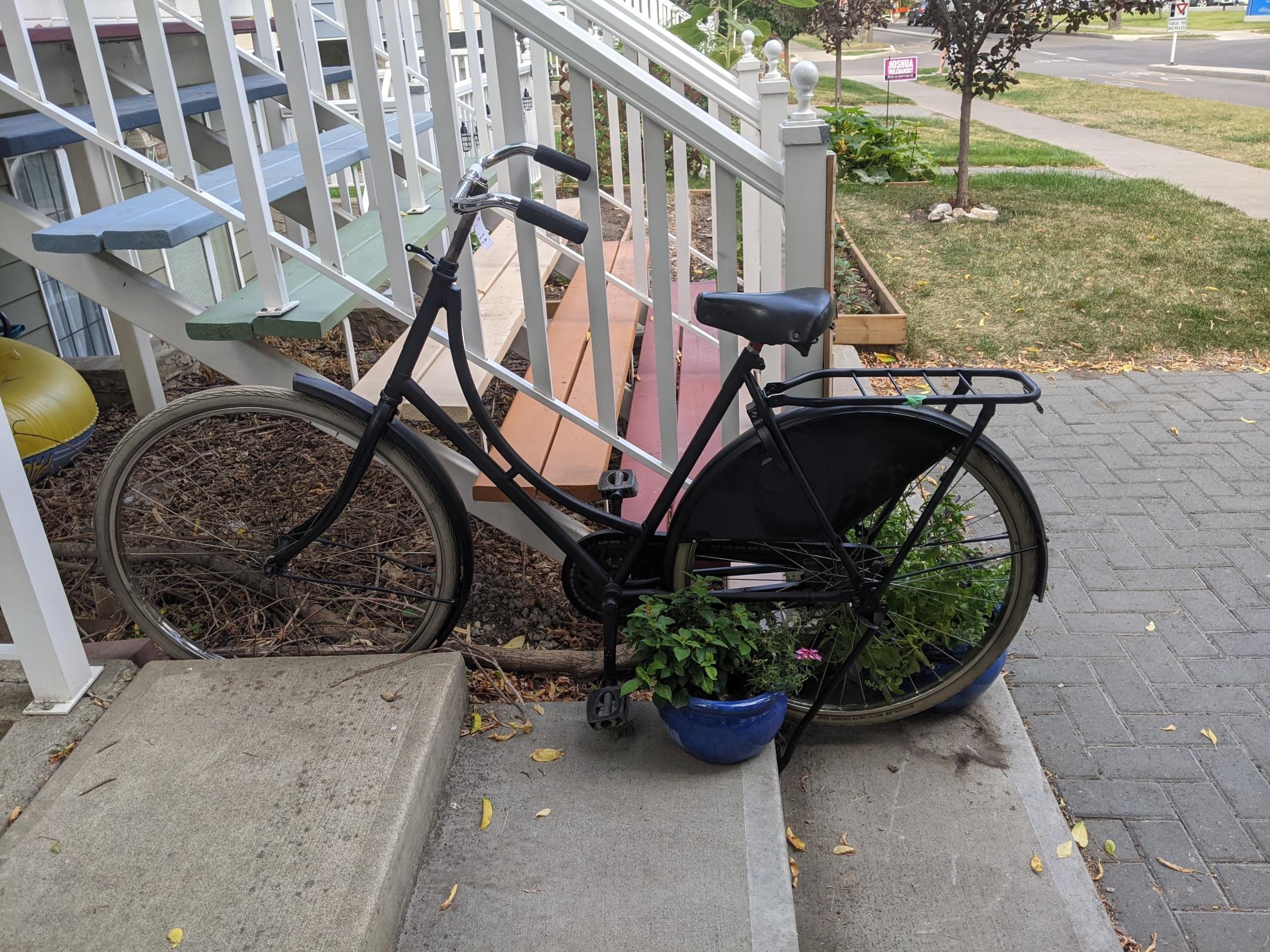 Gazelle Omafiets Black