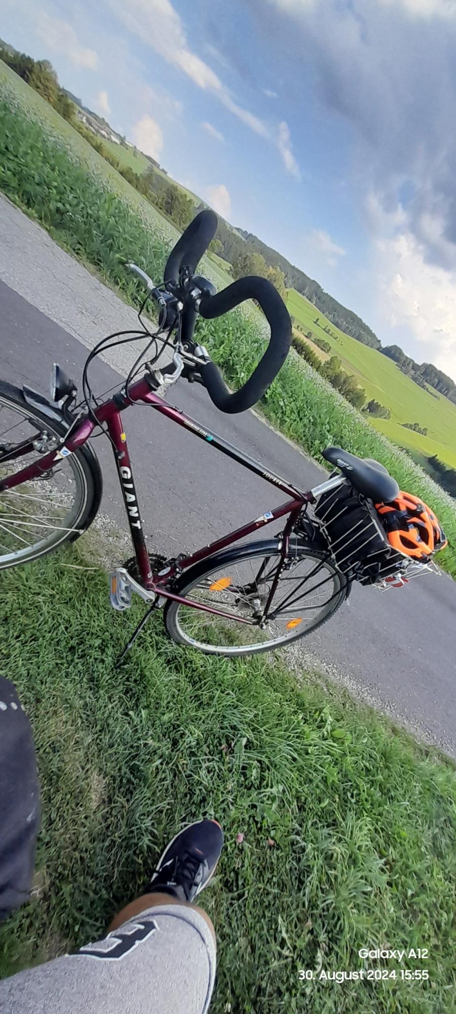 All City VTC Giant Giant - Touring Line Mixte ... Purple and Black
