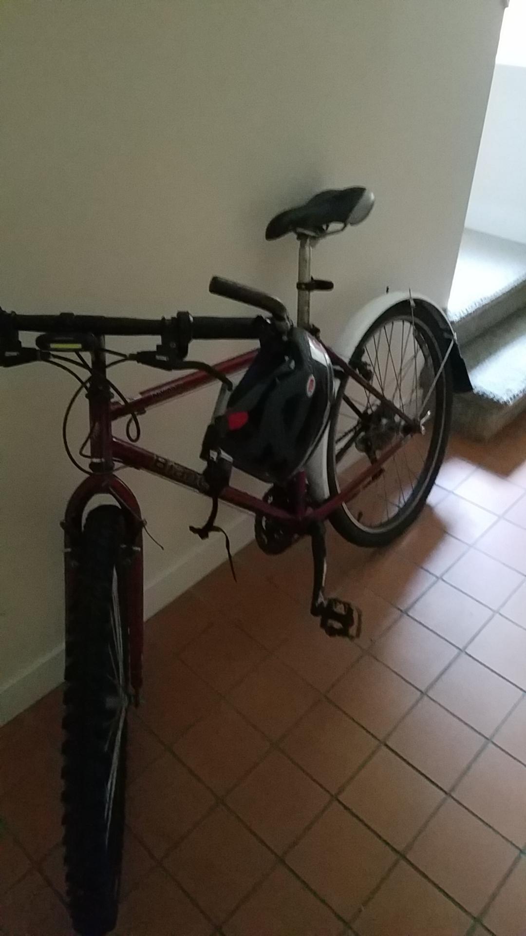 Bianchi Red