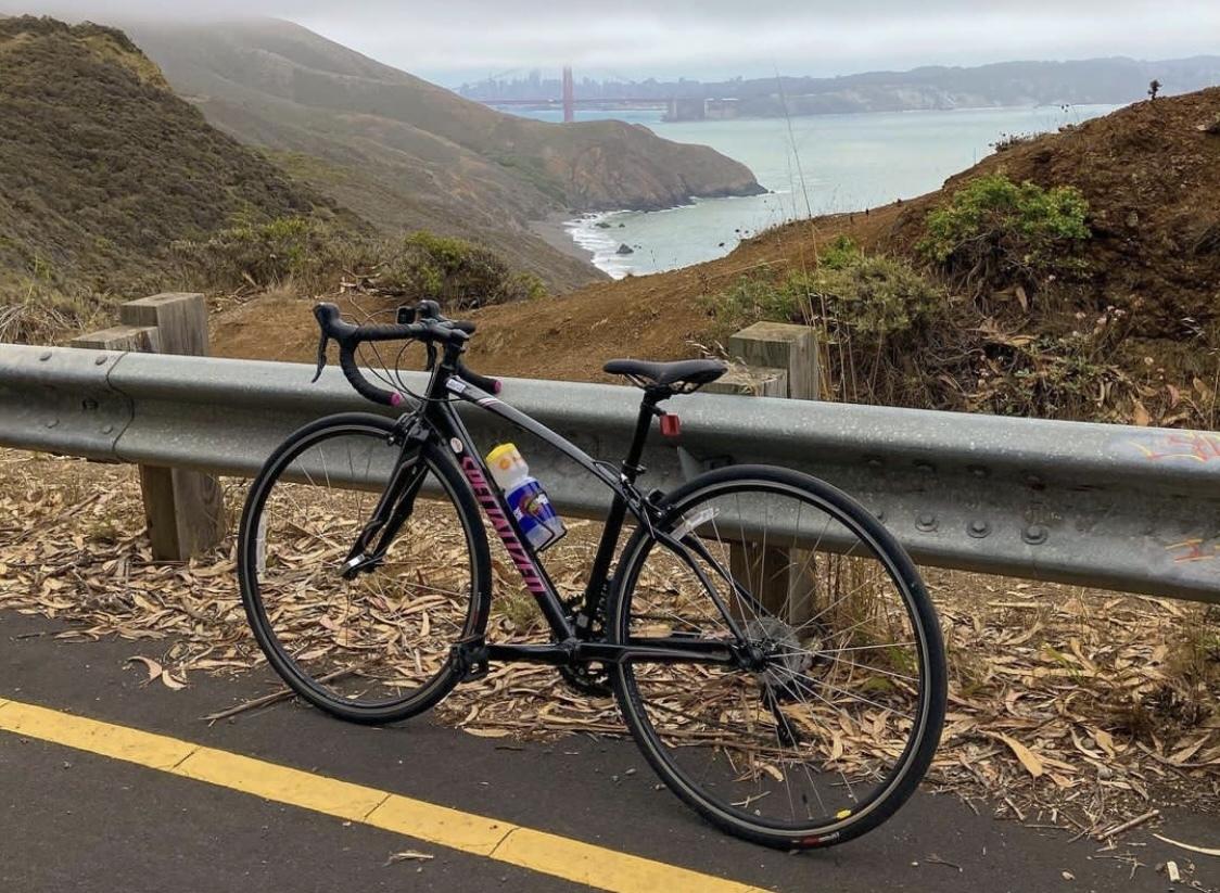 2016 Specialized Dolce Black and Pink