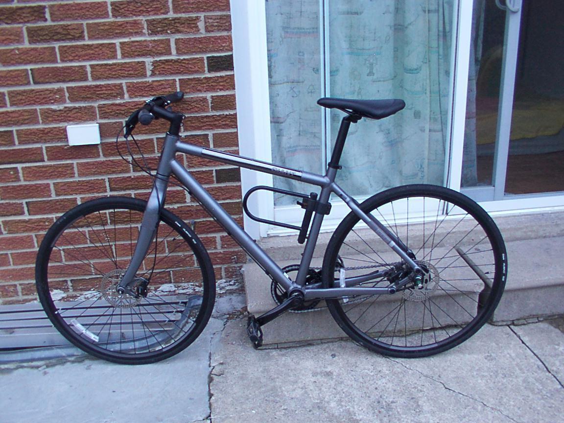 Giant  Silver or Gray