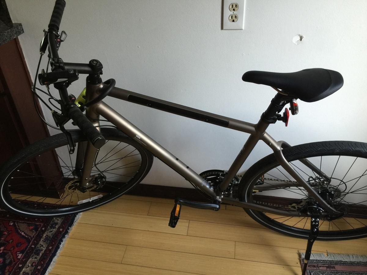 2016 Giant Seek 3 Silver or Gray