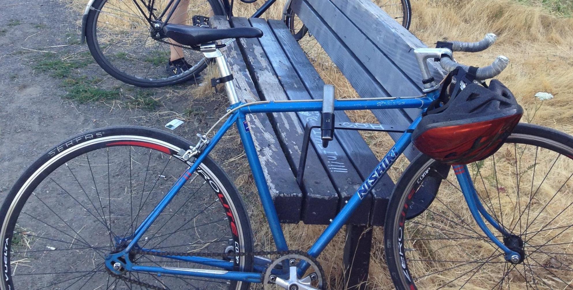 Nishiki Blue
