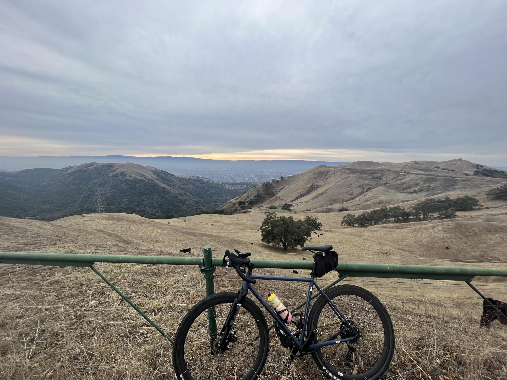 2021 Rondo Rutt Blue